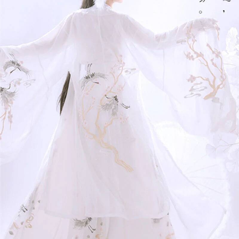 Chinese Ancient Hanfu Women's  - Embroidery Skirt 评论和价格