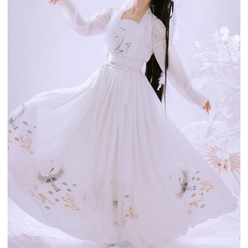 Chinese Ancient Hanfu Women's  - Embroidery Skirt 评论和价格