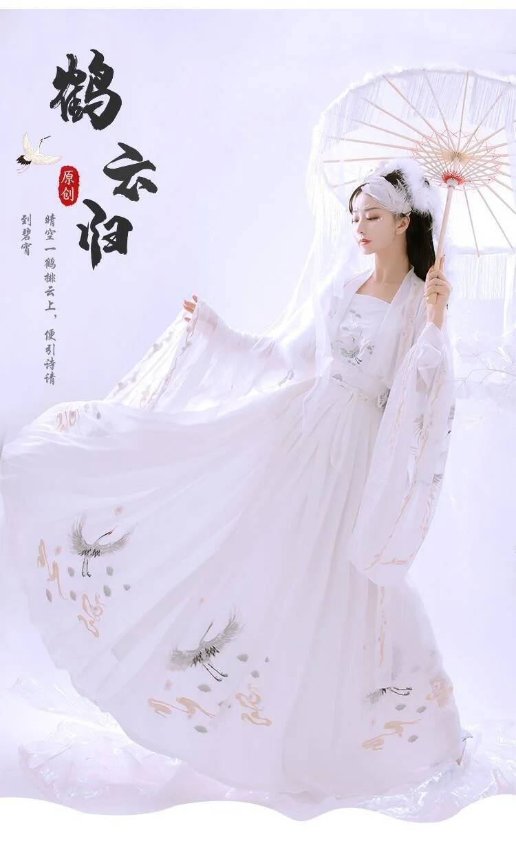 Chinese Ancient Hanfu Women's  - Embroidery Skirt 评论和价格