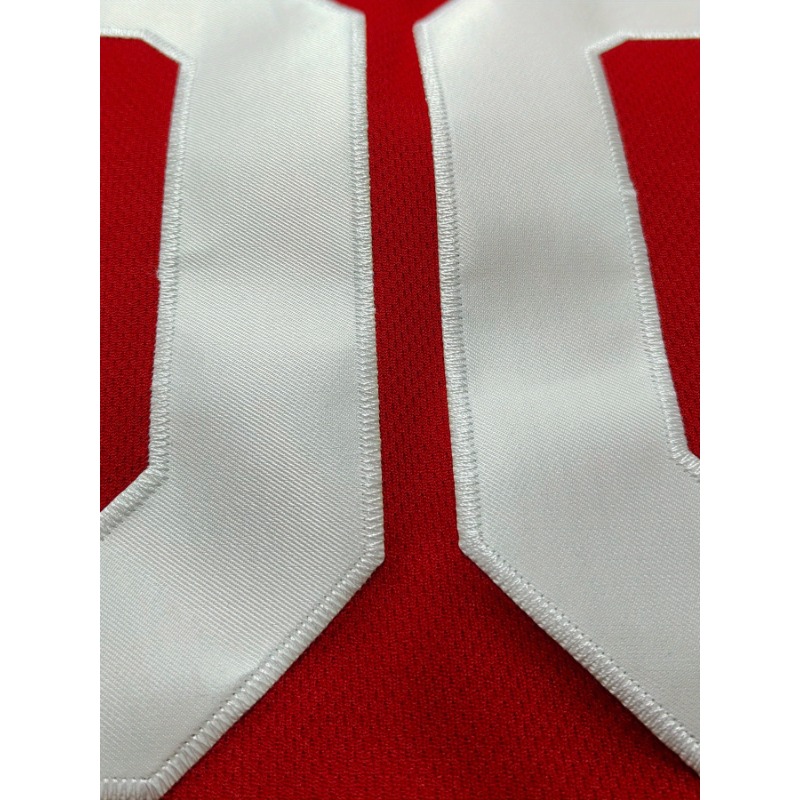 Customized Name and Number Bas - Embroidery Names 评论和价格