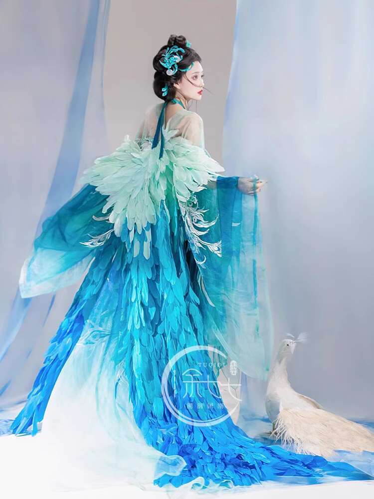 New Peacock Hanfu Womens fashi - Embroidery Skirt 评论和价格